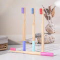 Eco-Friendly Biodegradable Bamboo Toothbrushes Bulk Pack Colorful Round Handle Soft Medium Bristle Natural Wooden Toothbrush