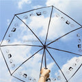 Transparent Umbrellas With logo Prints Umbrella Parasol Transparent