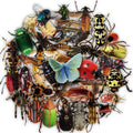 50pcs Non-infringing Transparent Insect Stickers Packs for Car Scratch Occlusion Decorative Stickers Prank Popular
