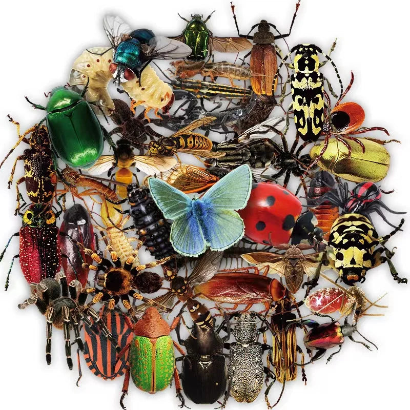 50pcs Non-infringing Transparent Insect Stickers Packs for Car Scratch Occlusion Decorative Stickers Prank Popular