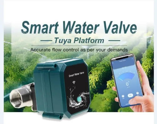 Smart Wifi Ball Valve CTF-001 10NM DN8 DN32 Ss304 UPVC DC5V Electric Tuya Smart Wifi Remote Control Ball Valve for Water
