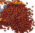 Sha Ji Guo Natural New Whole Raw Fruit Dried Hippophae Fructus for Sale