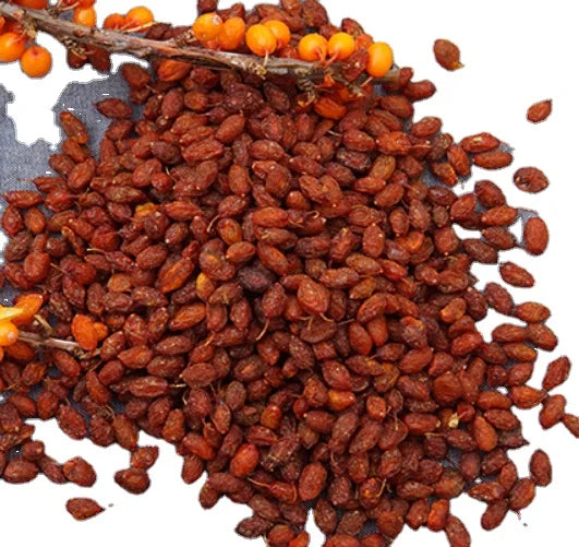 Sha Ji Guo Natural New Whole Raw Fruit Dried Hippophae Fructus for Sale