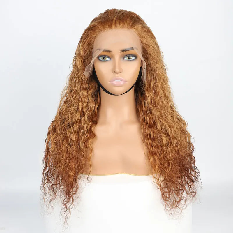 Wholesale Price Long Hair 13x4 4x4 Natural Curly Wig for Black Women Virgin Cuticle Aligned Raw Indian Hair HD Lace Front Wigs