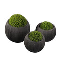 Modern Round Fiberglass Flower Pots Planter Indoor Outdoor Garden Decoration for Hotel Restaurant
