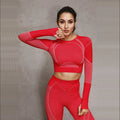 Seamless Knitted Workout Tight Scrunch Sport Wear Active Training Clothes Yoga Fitness Long Sleeve
