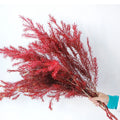 Green Preserved Plant Melaleuca Bracteata for Wall Marketing Decoration Materials