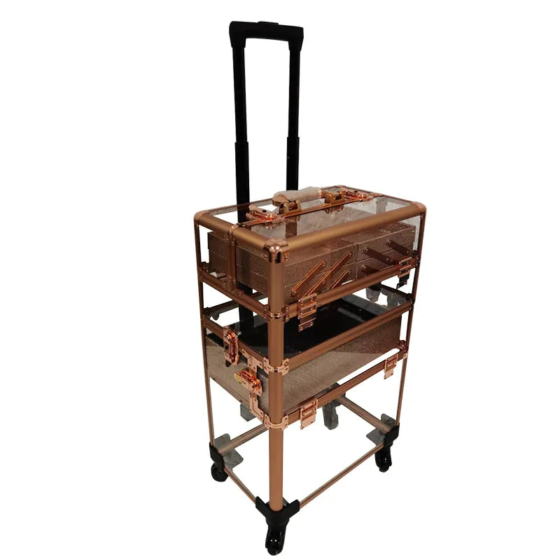 Acrylic Rose Gold Trolley Makeup Box Professional Double-layer Tattoo Nail and Hair Storage Kit