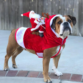 Wholesale Heavy Duty Medium Large Pet Dog Clothes Pet Christmas Costume