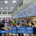 Super Bright Custom Made Multiform Hexagon Lighting Rgb Gym Hanging Lights