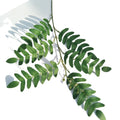 Wholesale Silk Locust Tree Leaf Artificial Plants Locust Leaves Branches for Garden Decor