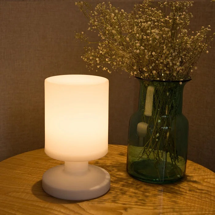 Modern Indoor LED Table Lamps USB Rechargeable Portable for Apartment and Hotel Indoor Decoration