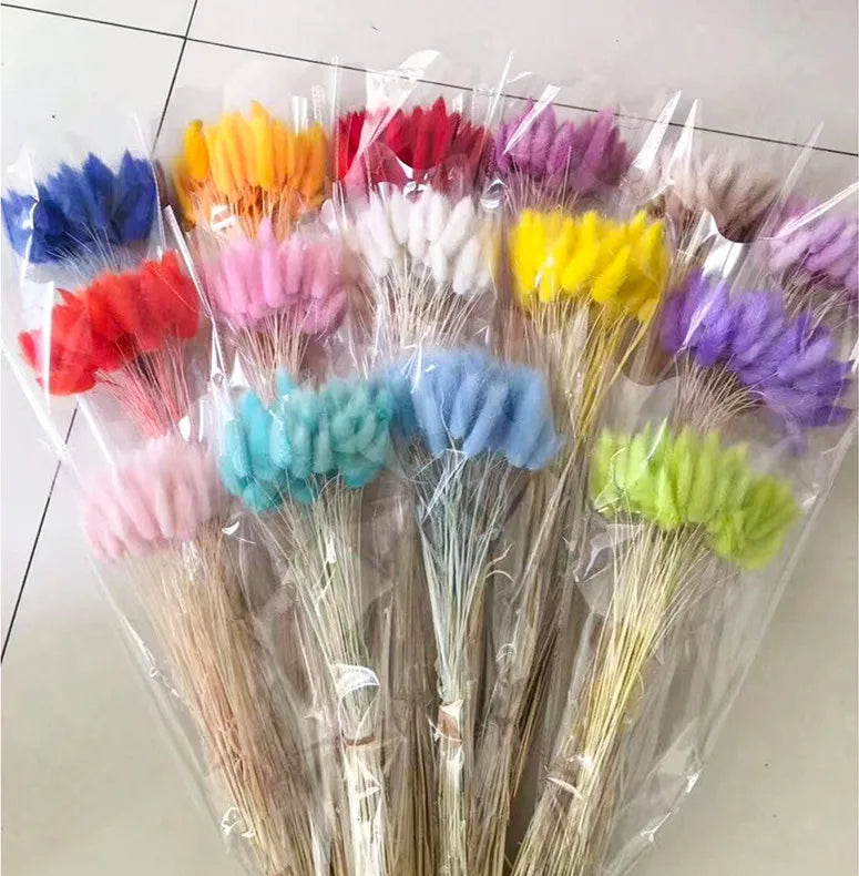 A-1101 Wholesale Home Decor Preserved Dried Flowers and Plants Pink White Rabbit Tail Bunch Natural Dried Bunny Tail Grass