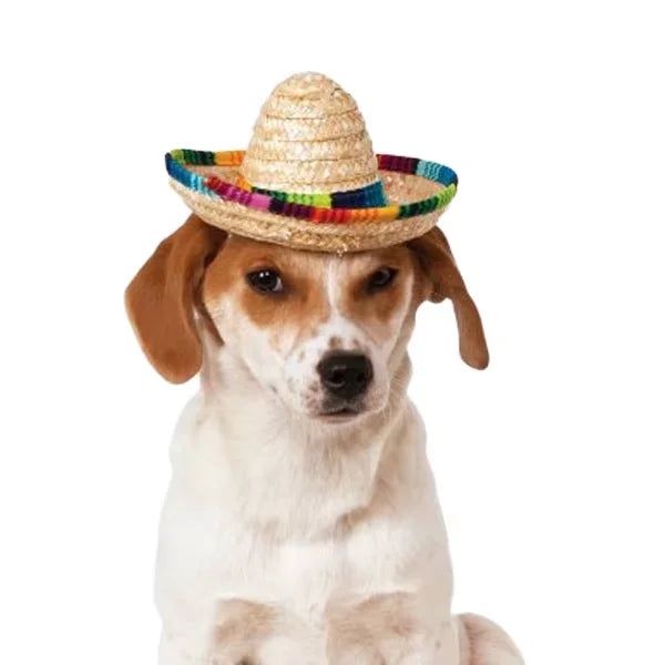 5.9 Inch Mini Straw Sombrero Striped Casual Cowboy Hat Daily Outdoor Travel Use Party Ski Fishing Cycling
