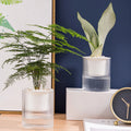 BRICE 4 Inch Nordic Style White Transparent Plastic Flower Pot Self-watering Feature for Garden Use-Creative Hanging Planter