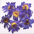 HO4009 Lan Lian Hua Flavor Tea Pure Nymphaea Coerulea 50g/Bag Dried Blue Lotus Flower Natural Flower for Tea