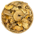Native Raw Dried Medicinal Engleromyces Goetzei Mushroom Engleromyces Goetzii Fungus for Sale