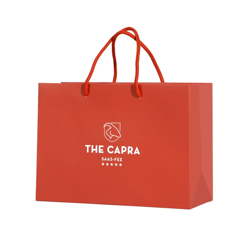 Manufacturer Custom Luxury Beauty Gift Bag Packaging Custom Paper Clothing Packaging Shopping Bags With Handle