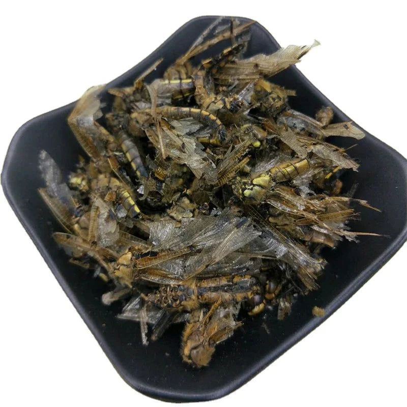 100g Gan Qing Ting Dragonfly Dried Natural Anax Parthenope for Sale