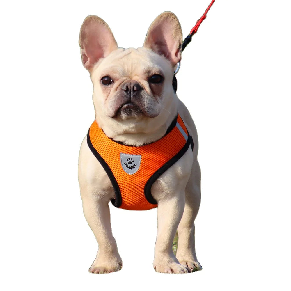 Polyester Alloy Lightweight Reflective Breathable Dog Harness Leash Set for Dog Walking Outdoor Pet Care