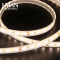New Technology SMD 2835 Led Chip Waterproof Silicone Injection IP68 DC 12V 24V Strip Light