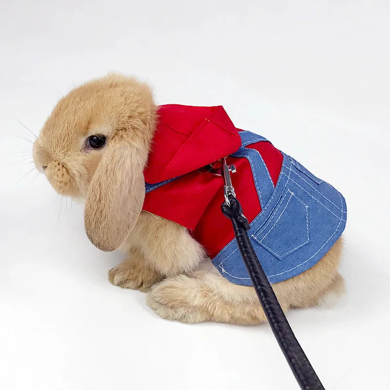 GMTPET Apparel Factory Dog Clothes Luxury Classic Cotton Coats & Jackets for All Seasons with Leash