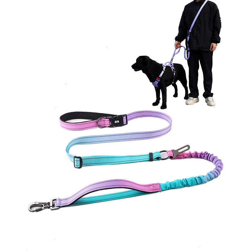 Adjustable Luxury Bungee Dog Leash Reflective Strip Hands-Free Zinc Alloy Locking Clasp Wear-Resistant Nylon Dog Leash Extension MegaBDM