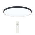 Poland Dustproof Anti-Mosquitoes Damp-Proof Balcony Bathroom Kitchen Mount Led Tri-proof Ceiling Light With Remote Control