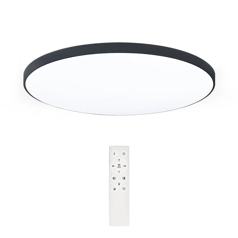 Poland Dustproof Anti-Mosquitoes Damp-Proof Balcony Bathroom Kitchen Mount Led Tri-proof Ceiling Light With Remote Control