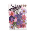 2025 New Product Wholesale Reasonable Price Natural Preserved Flowers Plants DIY Materials Pressed Flowers