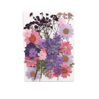 2025 New Product Wholesale Reasonable Price Natural Preserved Flowers Plants DIY Materials Pressed Flowers
