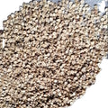 Dong Kui Zi Raw Herb Dried Mallow Seed Melva Crispa Seed for Sale