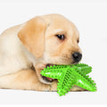 Star Squeaky Sound Generator Rubber Cotton Eco-Friendly Cleaning Teeth Bite Resistance Starfish Interactive Pet Dog Water