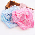 Wholesale Cute Lace Cotton Dog Pet Clothes Physiological Pants