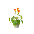 Wholesale Artificial Flowers With Pot Artificial Plant Potted Indoor Plant Decorative Tree Home Decoration 47cm