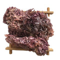 N11 Hot Sale Natural Cheap Prices Factory Supply Dried Wildcrafted Gelidium