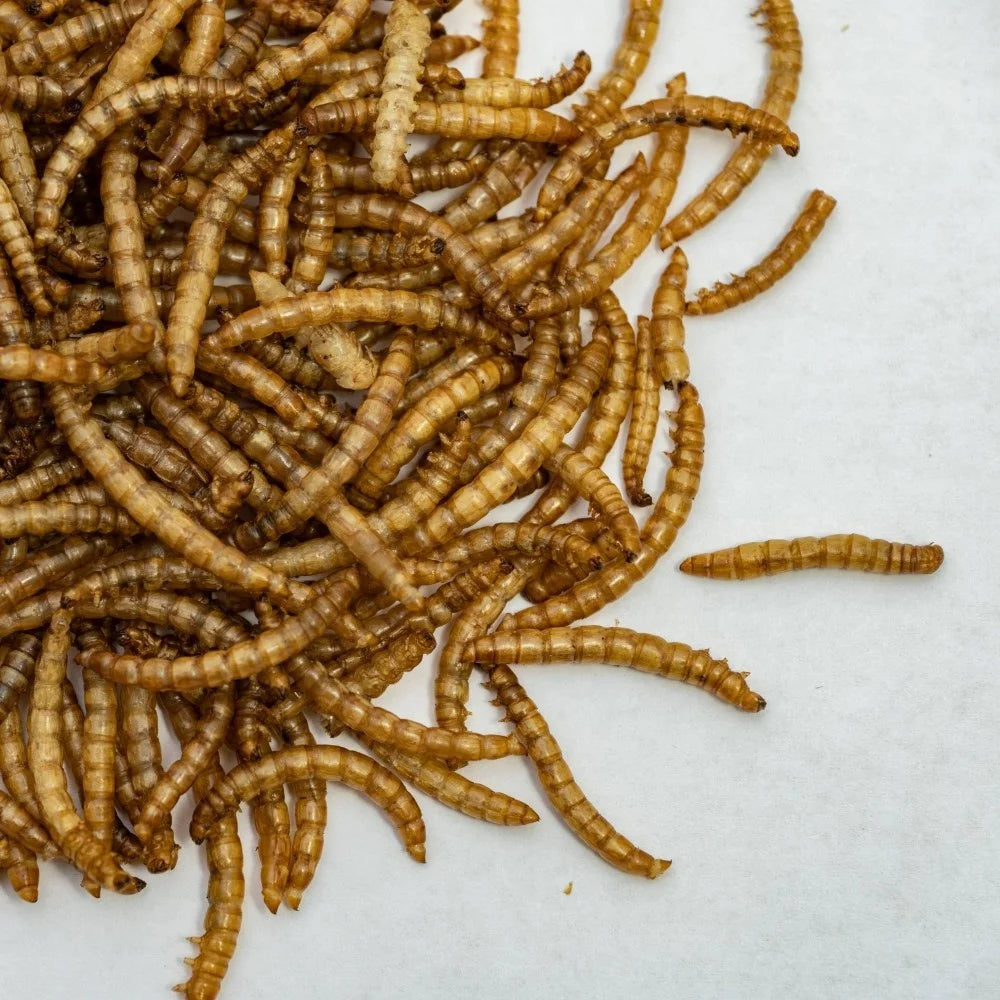Dried Mealworms Customizable Packaging High-protein Functional
