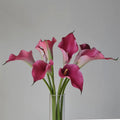 O-X055 Wholesale Long Stem EVA Calla Lily Flowers White Pink Real Touch Lili Calla Artificial Flower for Home Wedding Vase Decor