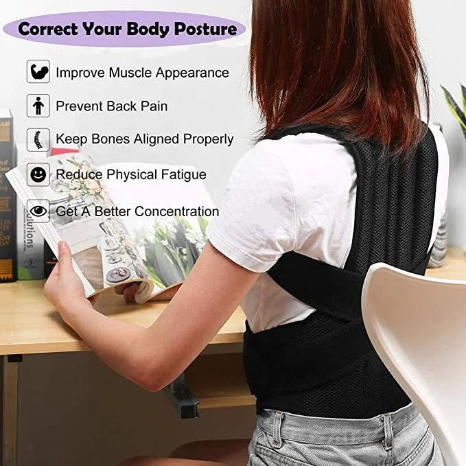 Unisex Comfortable Plus Size Customized Back Support Waist Belt for Sale
