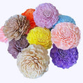 Wholesale Natural Dried Flowers and Plants Sola Wood Flower for Home Decoration