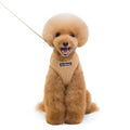 Hot Sale Adjustable Length Pet Harness Leash Set Air Breathable with Polyester and Plastic Materials for Dogs and Pets