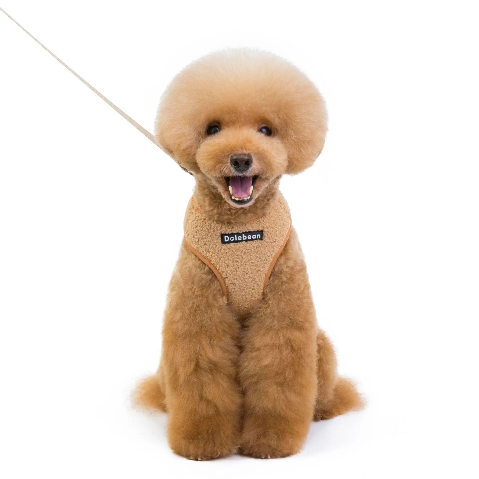 Hot Sale Adjustable Length Pet Harness Leash Set Air Breathable with Polyester and Plastic Materials for Dogs and Pets