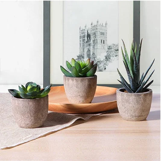 Succulents Plants Bonsai Cactus Potted Plants Garden Greenery  Faux Succulents for Home Decor