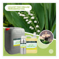 HL - High Concentrated Perfume Scented Oils Supplier1Kg Natural Lily of the Valley Essential Oil Fragrance for Candle Making MegaBDM