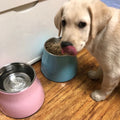 Elevated Dog Bowls Iron Stand Raised Pet Dog Feeder Wholesale Cat Bowl Elevated 360ml 560ml 860ml