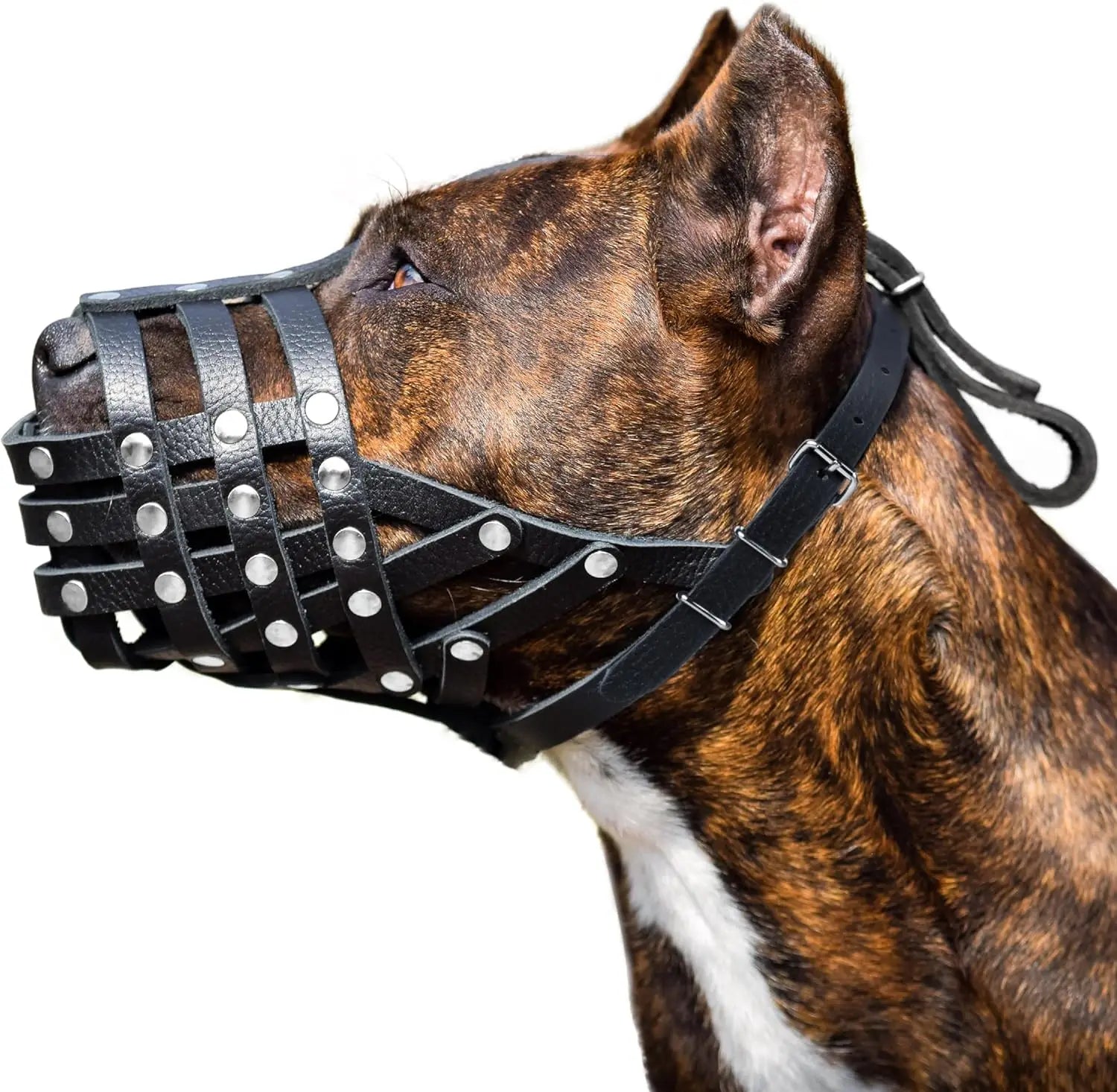 Adjustable Luxury Solid Nylon Pet Collar Leash Padded Ribbons Breathable Reflective Anti-Bite Muzzle for Larger Breeds Pitbull