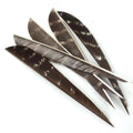 Archery 4/5inch Real Turkey Feather Arrow Vanes Right Wing for Arrow DIY Fletch Arrow Accessories