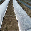 PP Agriculture Nonwoven Fabric for Vegetable Greenhouse PP Nonwoven Fabric for Weed Control Agriculture Fabric Plant Cover