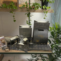 Custom Bento Box Disposable Food Food Boxes Takeaway Packaging Eco Friendly Disposable Lunch Box