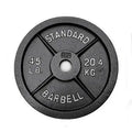 PINJIAN Gym Four Baking Varnish bar Barbell Piece Weightlifting Big Hole Cast Iron 45 Lbs Weight Plates